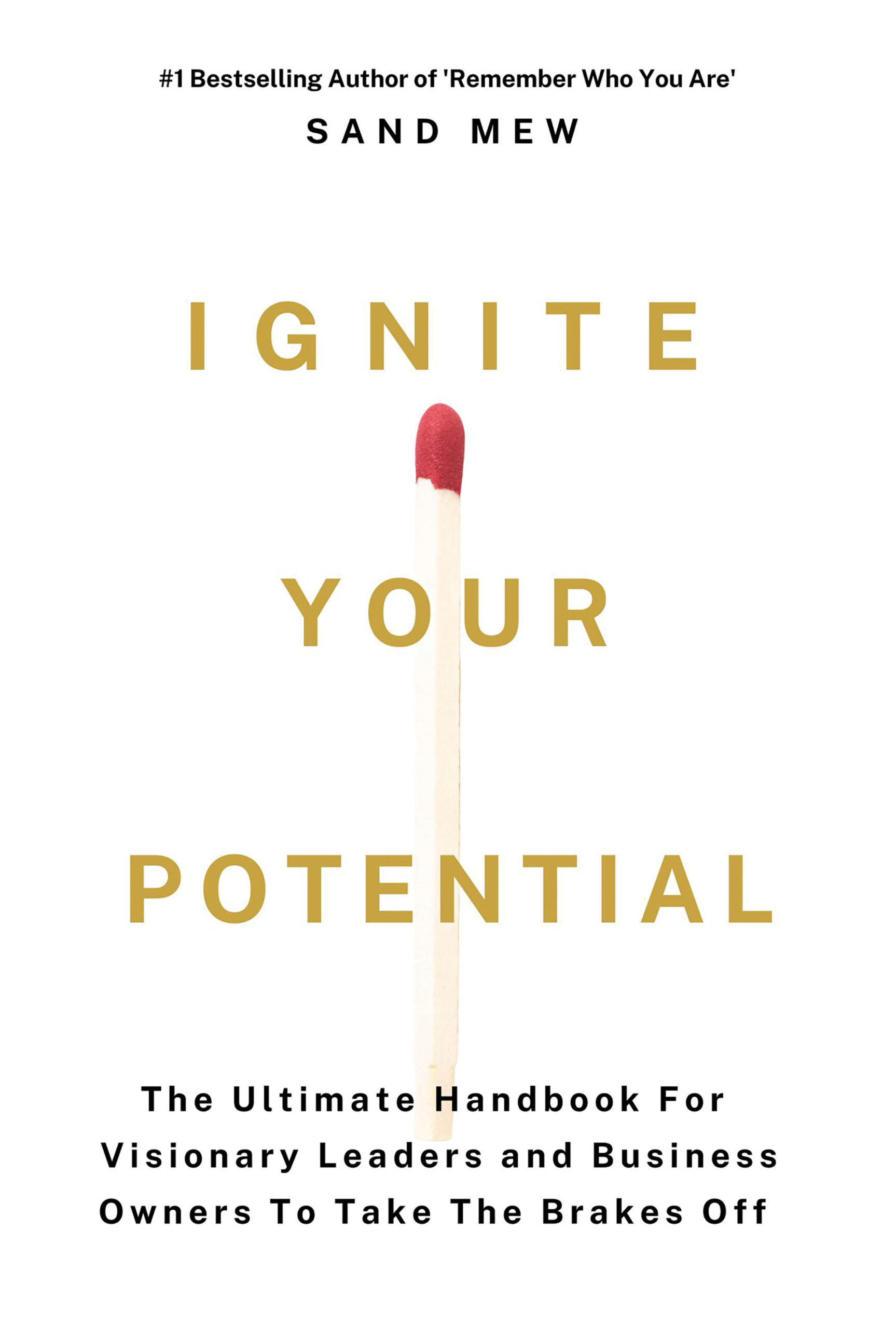 IGNITE YOUR POTENTIAL