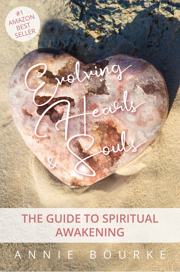 Evolving Hearts and Souls